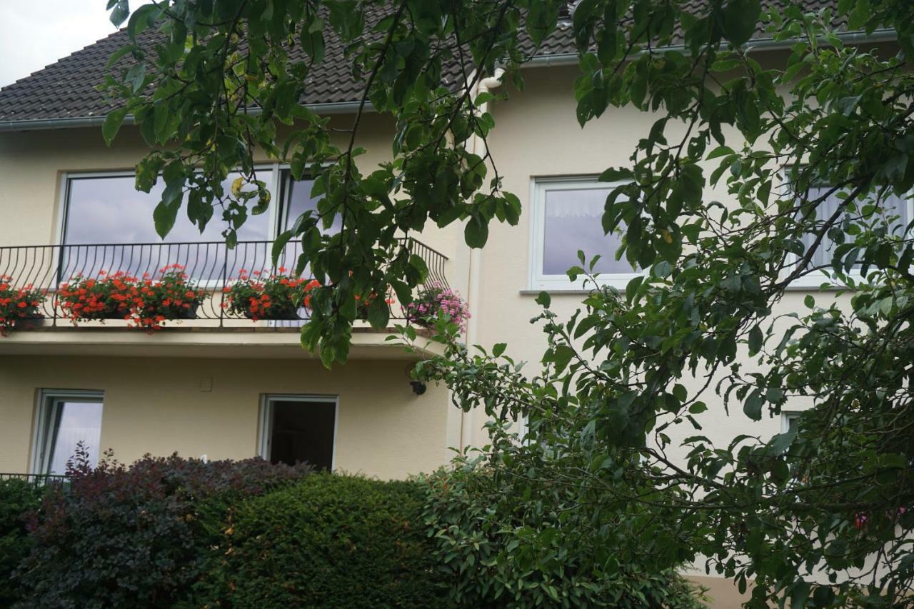Goebel Beethovenstrasse Apartment Cochem